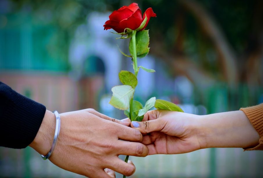Romantic Flowers for Gifting your Girlfriend 1 gifts