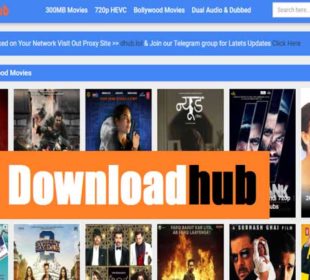 Downloadhub-Movies-Download